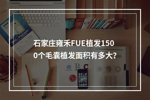 石家庄雍禾FUE植发1500个毛囊植发面积有多大？