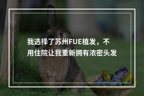 我选择了苏州FUE植发，不用住院让我重新拥有浓密头发