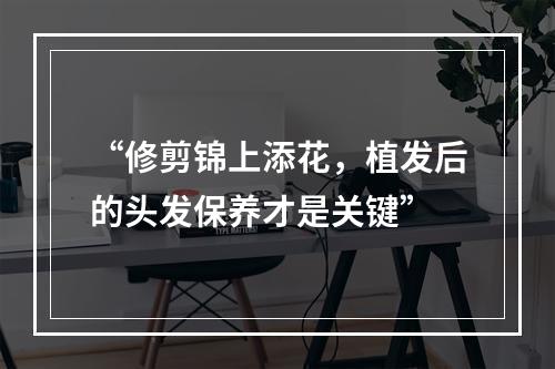 “修剪锦上添花，植发后的头发保养才是关键”