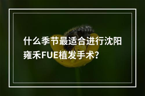 什么季节最适合进行沈阳雍禾FUE植发手术？