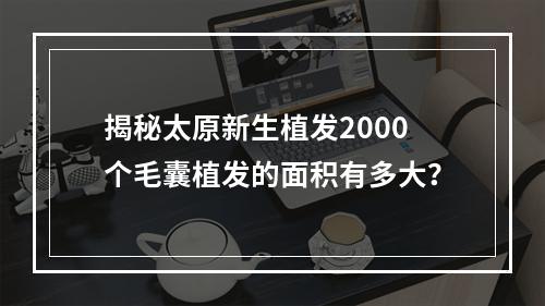 揭秘太原新生植发2000个毛囊植发的面积有多大？