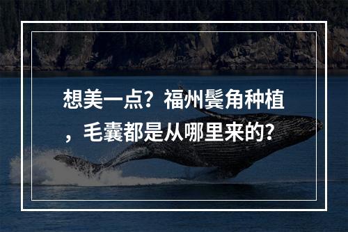 想美一点？福州鬓角种植，毛囊都是从哪里来的？