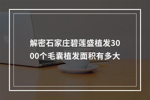 解密石家庄碧莲盛植发3000个毛囊植发面积有多大