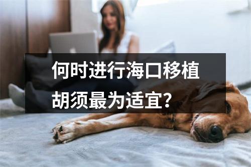 何时进行海口移植胡须最为适宜？