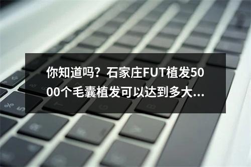 你知道吗？石家庄FUT植发5000个毛囊植发可以达到多大面积