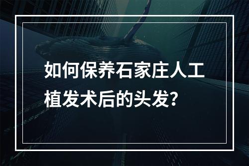 如何保养石家庄人工植发术后的头发？