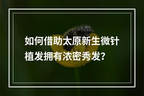 如何借助太原新生微针植发拥有浓密秀发？