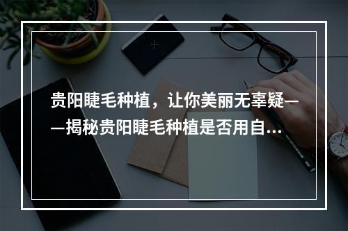 贵阳睫毛种植，让你美丽无辜疑——揭秘贵阳睫毛种植是否用自己的毛囊