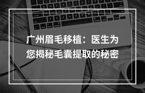 广州眉毛移植：医生为您揭秘毛囊提取的秘密