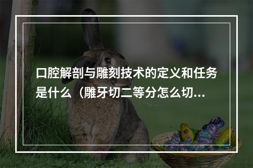 口腔解剖与雕刻技术的定义和任务是什么（雕牙切二等分怎么切）