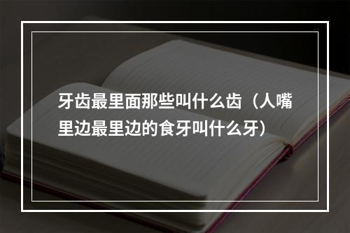 牙齿最里面那些叫什么齿（人嘴里边最里边的食牙叫什么牙）