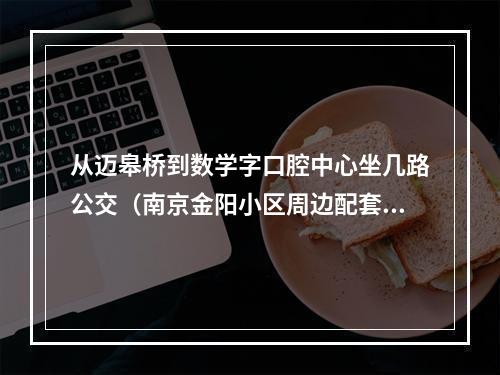 从迈皋桥到数学字口腔中心坐几路公交（南京金阳小区周边配套怎么样?）