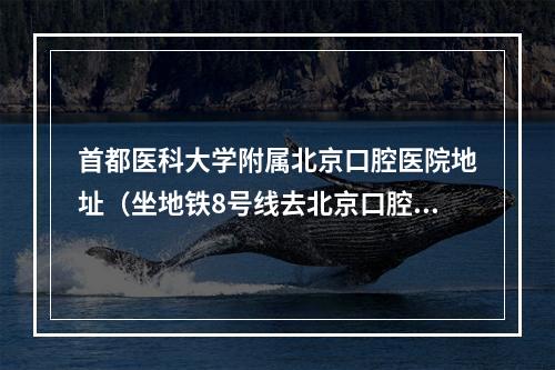 首都医科大学附属北京口腔医院地址（坐地铁8号线去北京口腔医院天坛院区在哪站下车）