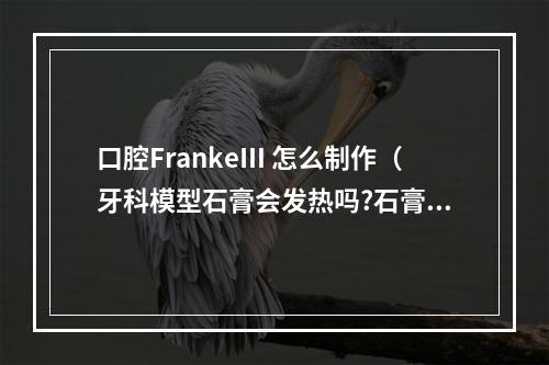 口腔FrankeⅢ 怎么制作（牙科模型石膏会发热吗?石膏和牙科模型石膏一样吗）