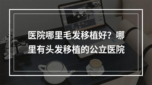 医院哪里毛发移植好？哪里有头发移植的公立医院