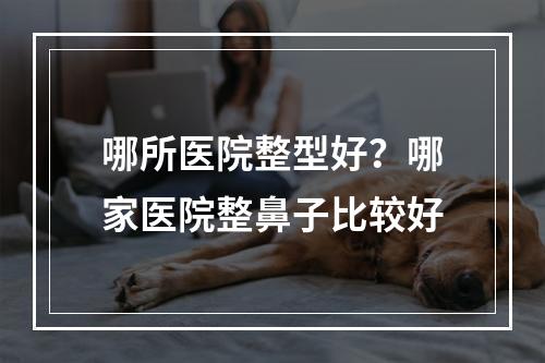 哪所医院整型好？哪家医院整鼻子比较好