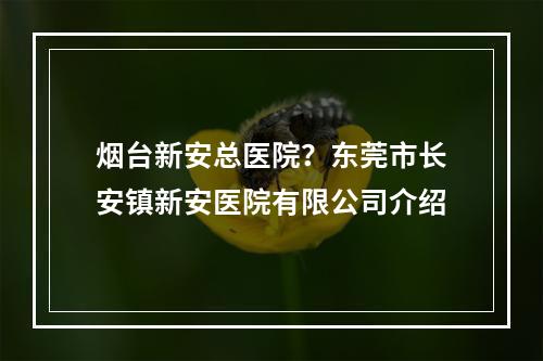 烟台新安总医院？东莞市长安镇新安医院有限公司介绍