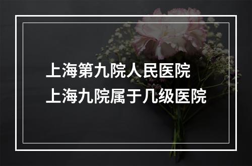 上海第九院人民医院 上海九院属于几级医院