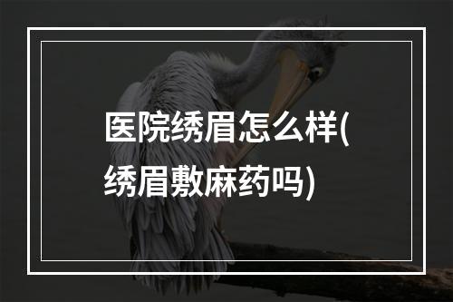 医院绣眉怎么样(绣眉敷麻药吗)