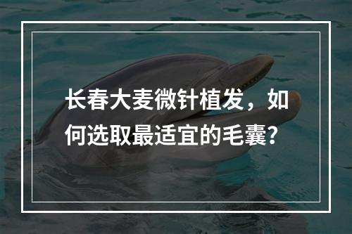 长春大麦微针植发，如何选取最适宜的毛囊？