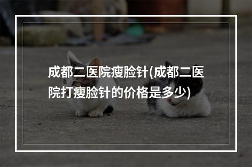 成都二医院瘦脸针(成都二医院打瘦脸针的价格是多少)