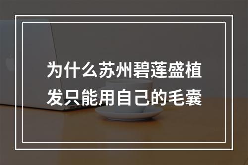 为什么苏州碧莲盛植发只能用自己的毛囊