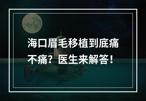 海口眉毛移植到底痛不痛？医生来解答！