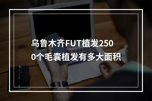 乌鲁木齐FUT植发2500个毛囊植发有多大面积