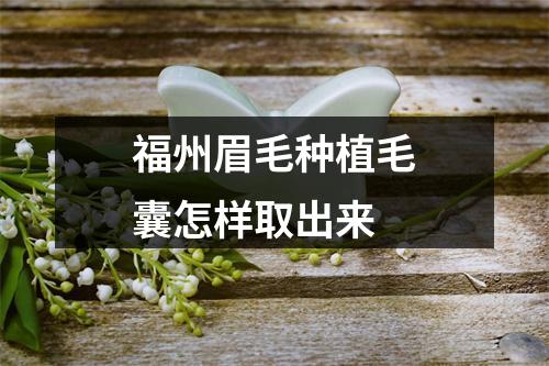 福州眉毛种植毛囊怎样取出来