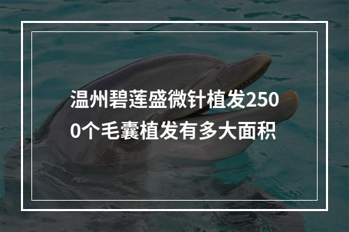 温州碧莲盛微针植发2500个毛囊植发有多大面积