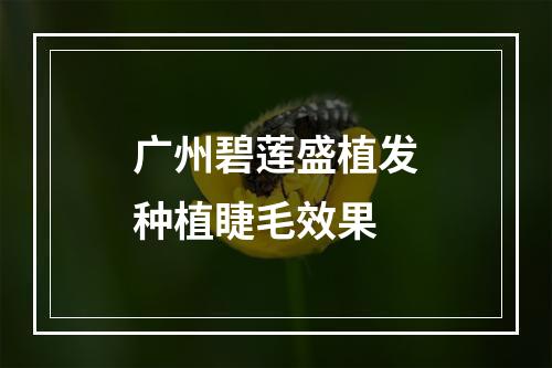 广州碧莲盛植发种植睫毛效果