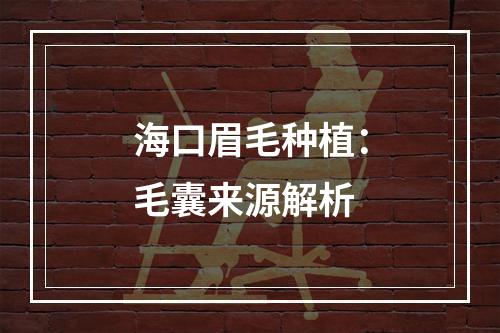 海口眉毛种植：毛囊来源解析