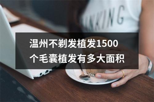 温州不剃发植发1500个毛囊植发有多大面积