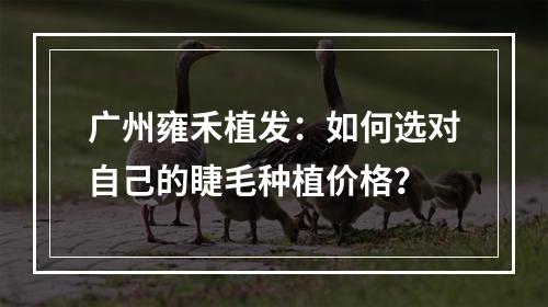 广州雍禾植发：如何选对自己的睫毛种植价格？