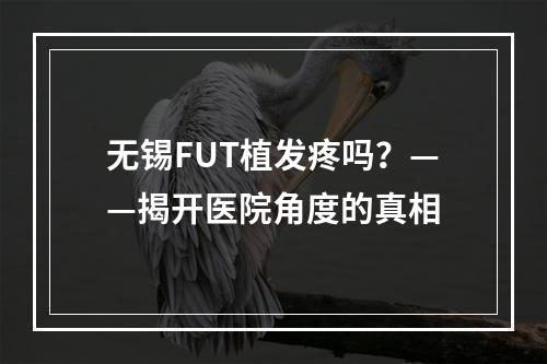 无锡FUT植发疼吗？——揭开医院角度的真相