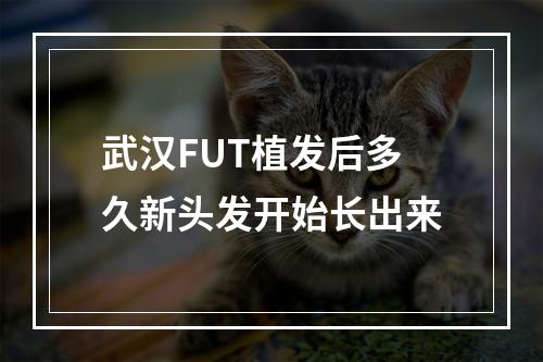 武汉FUT植发后多久新头发开始长出来