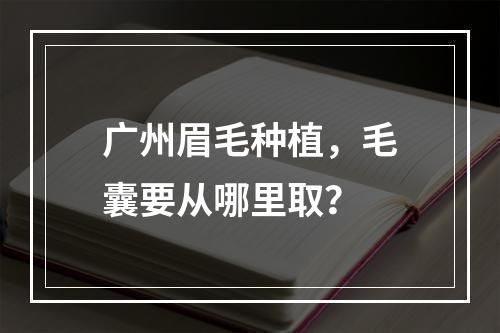 广州眉毛种植，毛囊要从哪里取？