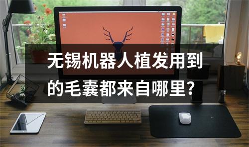 无锡机器人植发用到的毛囊都来自哪里？