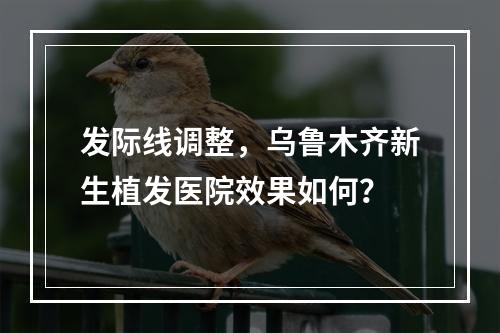 发际线调整，乌鲁木齐新生植发医院效果如何？