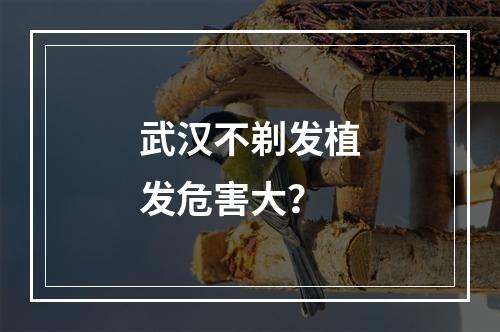 武汉不剃发植发危害大？