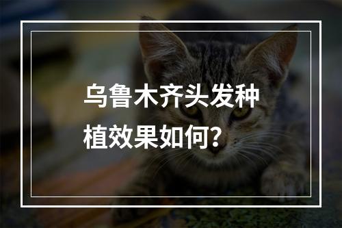 乌鲁木齐头发种植效果如何？