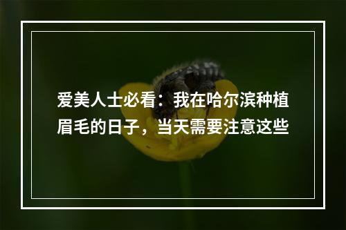 爱美人士必看：我在哈尔滨种植眉毛的日子，当天需要注意这些