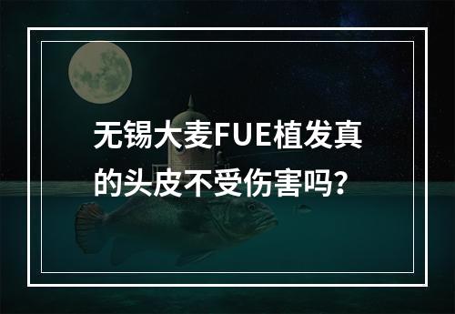 无锡大麦FUE植发真的头皮不受伤害吗？