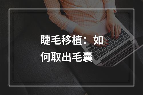 睫毛移植：如何取出毛囊