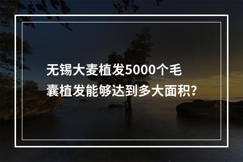 无锡大麦植发5000个毛囊植发能够达到多大面积？