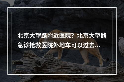 北京大望路附近医院？北京大望路急诊抢救医院外地车可以过去吗