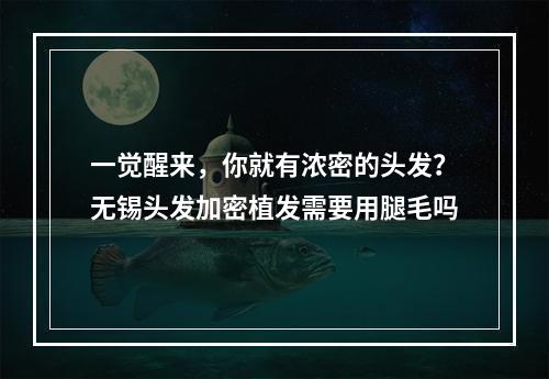 一觉醒来，你就有浓密的头发？无锡头发加密植发需要用腿毛吗