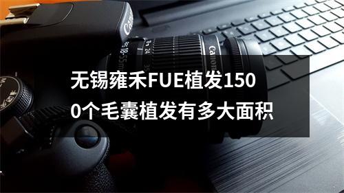 无锡雍禾FUE植发1500个毛囊植发有多大面积