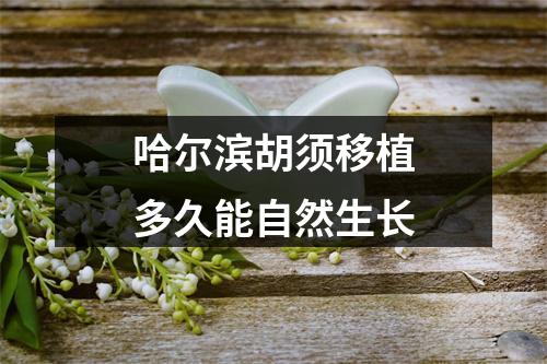 哈尔滨胡须移植多久能自然生长