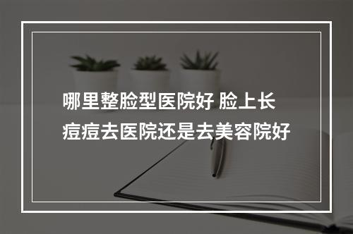 哪里整脸型医院好 脸上长痘痘去医院还是去美容院好